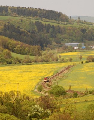 Zobrazi� cel� fotku