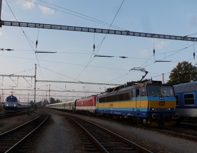 Zobrazi� cel� fotku