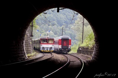 Zobrazi� cel� fotku