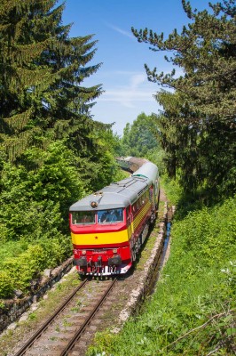 Zobrazi� cel� fotku