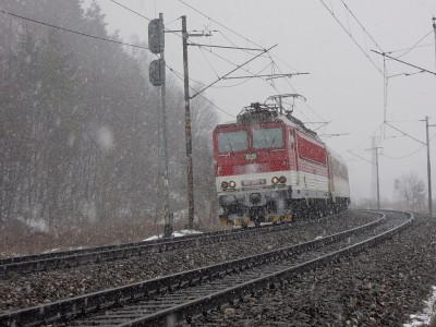 Zobrazi� cel� fotku