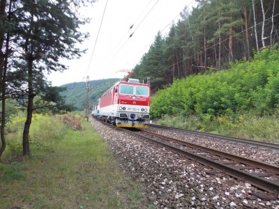 Zobrazi� cel� fotku