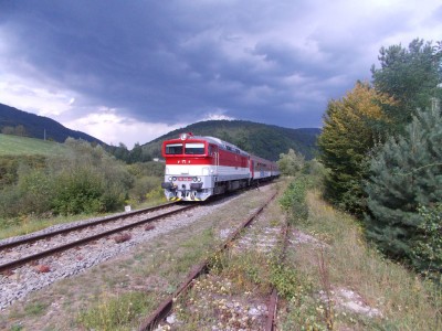 Zobrazi� cel� fotku