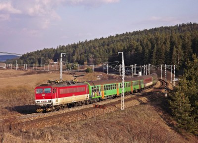 Zobrazi� cel� fotku