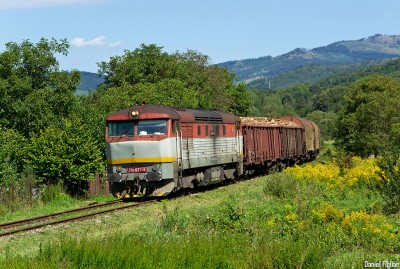 Zobrazi� cel� fotku