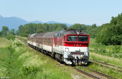 Zobrazi� cel� fotku