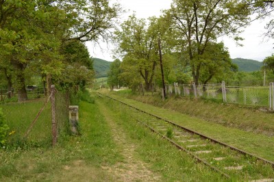 Zobrazi� cel� fotku