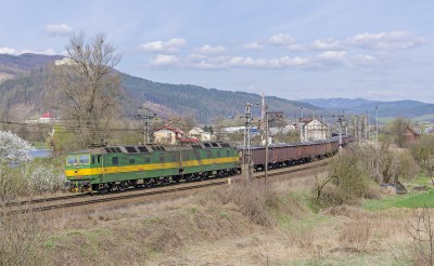 Zobrazi� cel� fotku