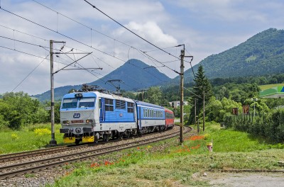 Zobrazi� cel� fotku