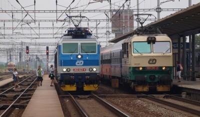 Zobrazi� cel� fotku