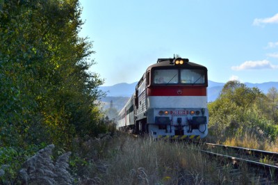 Zobrazi� cel� fotku