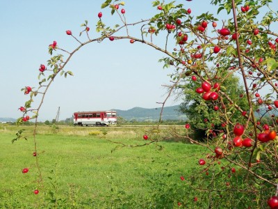 Zobrazi� cel� fotku