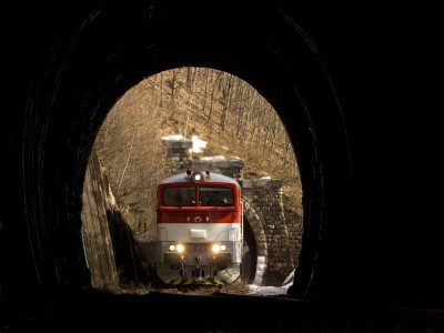 Zobrazi� cel� fotku