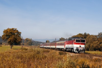 Zobrazi� cel� fotku