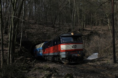 Zobrazi� cel� fotku