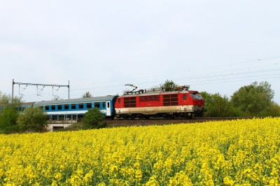 Zobrazi� cel� fotku