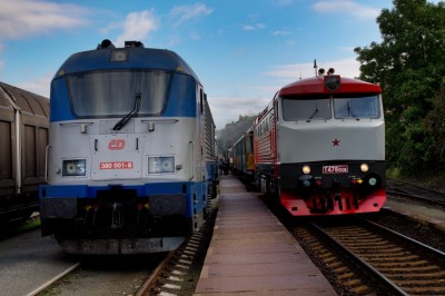 Zobrazi� cel� fotku