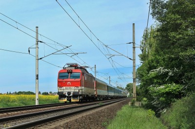 Zobrazi� cel� fotku