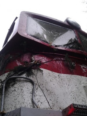 Zobrazi� cel� fotku