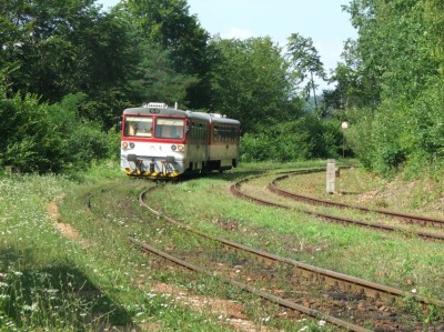 Zobrazi� cel� fotku