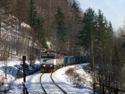 Zobrazi� cel� fotku