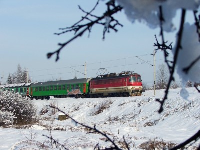 Zobrazi� cel� fotku