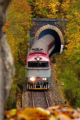 Zobrazi� cel� fotku