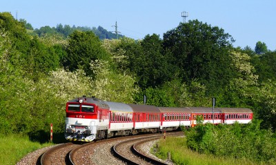 Zobrazi� cel� fotku