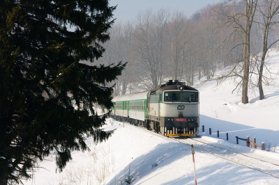 Zobrazi� cel� fotku