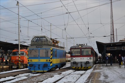 Zobrazi� cel� fotku