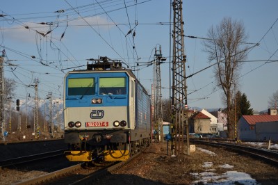Zobrazi� cel� fotku