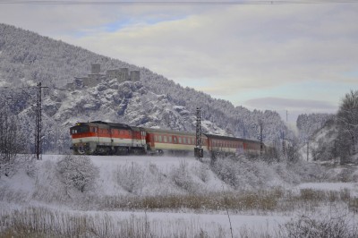 Zobrazi� cel� fotku
