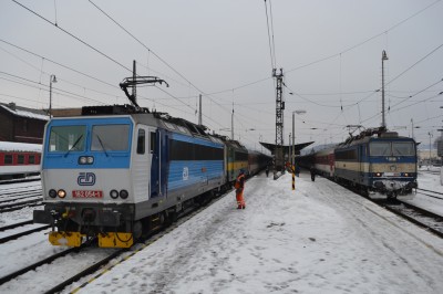 Zobrazi� cel� fotku