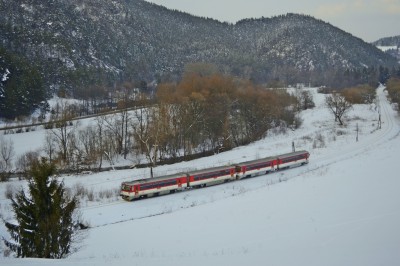 Zobrazi� cel� fotku