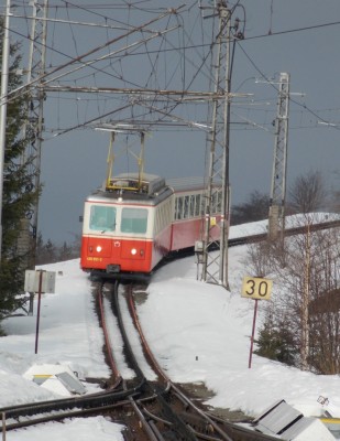 Zobrazi� cel� fotku
