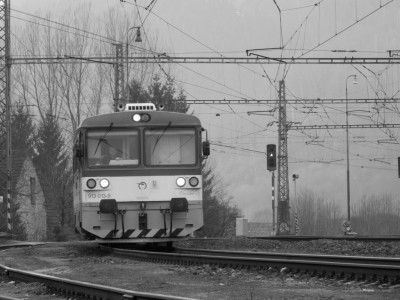 Zobrazi� cel� fotku