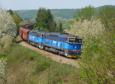 Zobrazi� cel� fotku
