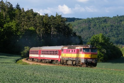 Zobrazi� cel� fotku