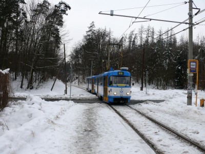 Zobrazi� cel� fotku