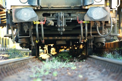 Zobrazi� cel� fotku