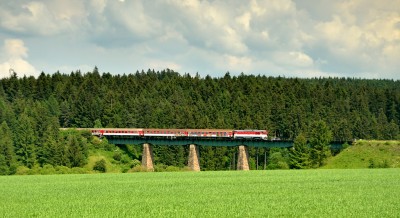 Zobrazi� cel� fotku