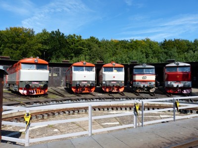 Zobrazi� cel� fotku