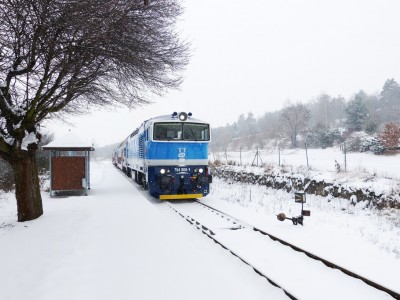 Zobrazi� cel� fotku