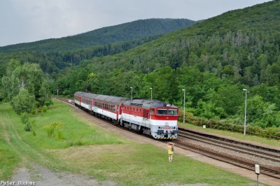 Zobrazi� cel� fotku