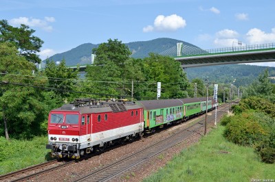 Zobrazi� cel� fotku