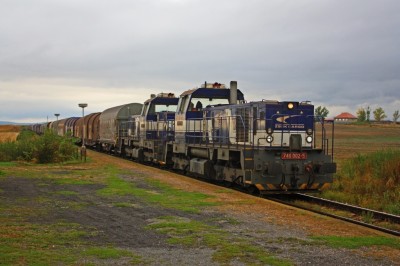 Zobrazi� cel� fotku