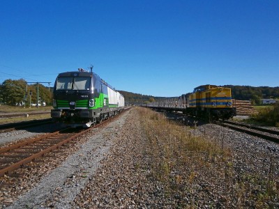 Zobrazi� cel� fotku