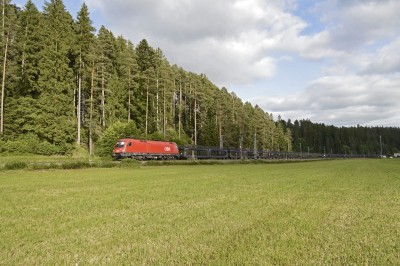 Zobrazi� cel� fotku