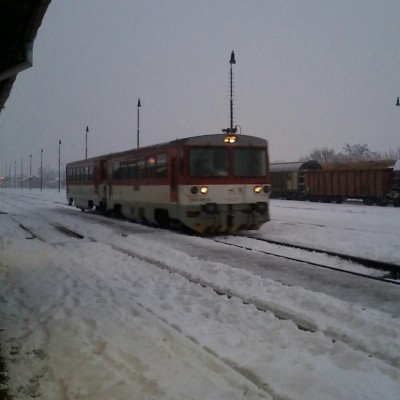 Zobrazi� cel� fotku