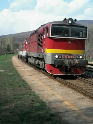 Zobrazi� cel� fotku